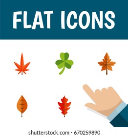 Flat Icon Leaves Set Of Aspen, Alder, Frond And Other Vector Objects. Also Includes Leaf, Aspen, Alder Elements.