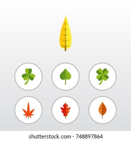 Flat Icon Leaves Set Of Aspen, Leaf, Frond And Other Vector Objects. Also Includes Alder, Frond, Oaken Elements.