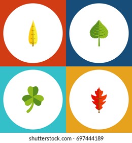 Flat Icon Leaves Set Of Hickory, Leaf, Maple And Other Vector Objects. Also Includes Oaken, Foliage, Maple Elements.