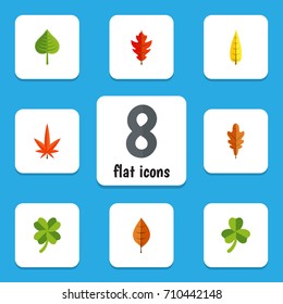 Flat Icon Leaves Set Of Linden, Frond, Hickory And Other Vector Objects. Also Includes Aspen, Foliage, Frond Elements.