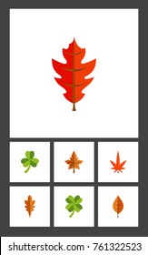 Flat Icon Leaves Set Of Linden, Aspen, Foliage And Other Vector Objects. Also Includes Hickory, Foliage, Linden Elements.