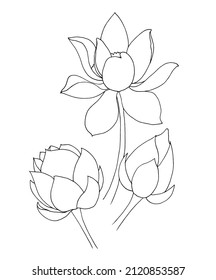 Flat icon of lotus flower. The art of drawing with one line. Line art. Abstract minimal sketch. Vector illustration