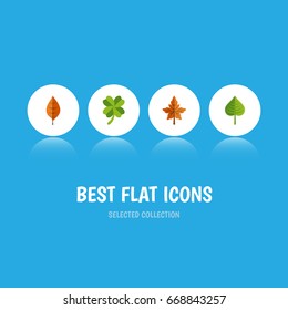 Flat Icon Maple Set Of Alder, Leafage, Foliage And Other Vector Objects. Also Includes Foliage, Leafage, Leaf Elements.