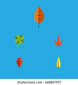 Flat Icon Maple Set Of Aspen, Foliage, Frond And Other Vector Objects. Also Includes Linden, Oaken, Foliage Elements.