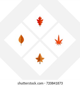 Flat Icon Maple Set Of Aspen, Frond, Foliage And Other Vector Objects. Also Includes Foliage, Linden, Aspen Elements.
