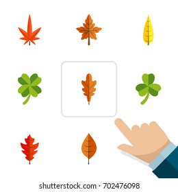 Flat Icon Maple Set Of Leaf, Maple, Alder And Other Vector Objects. Also Includes Maple, Frond, Aspen Elements.
