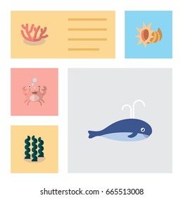 Flat Icon Marine Set Of Alga, Seashell, Algae And Other Vector Objects. Also Includes Scallop, Cancer, Algae Elements.