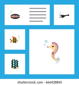 Flat Icon Marine Set Of Alga, Seafood, Scallop And Other Vector Objects. Also Includes Scallop, Seafood, Mollusk Elements.