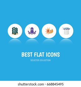 Flat Icon Marine Set Of Alga, Seashell, Tentacle And Other Vector Objects. Also Includes Seaweed, Tentacle, Octopus Elements.