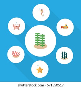 Flat Icon Marine Set Of Alga, Hippocampus, Cancer And Other Vector Objects. Also Includes Periscope, Sea, Alga Elements.
