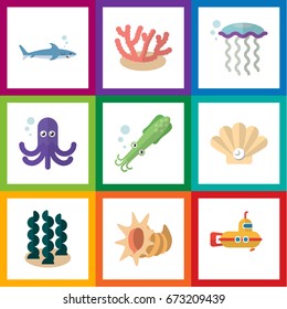 Flat Icon Marine Set Of Alga, Conch, Seashell And Other Vector Objects. Also Includes Algae, Seaweed, Octopus Elements.