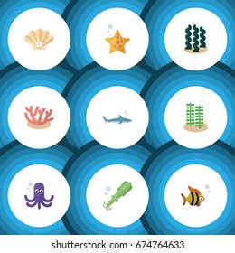 Flat Icon Marine Set Of Alga, Tentacle, Shark And Other Vector Objects. Also Includes Alga, Algae, Gray Elements.