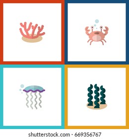 Flat Icon Marine Set Of Algae, Alga, Cancer And Other Vector Objects. Also Includes Crab, Spirulina Elements.