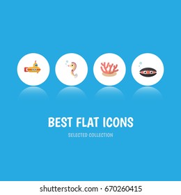 Flat Icon Marine Set Of Algae, Scallop, Hippocampus And Other Vector Objects. Also Includes Underwater, Algae, Horse Elements.