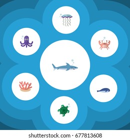 Flat Icon Marine Set Of Algae, Medusa, Shark And Other Vector Objects. Also Includes Squid, Turtle, Tortoise Elements.
