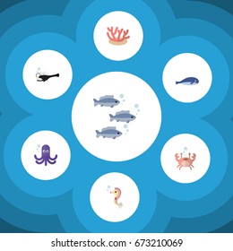 Flat Icon Marine Set Of Cachalot, Fish, Algae And Other Vector Objects. Also Includes Coral, Angler, Octopus Elements.