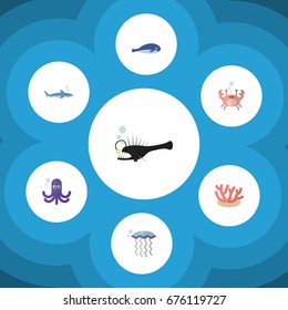 Flat Icon Marine Set Of Cachalot, Medusa, Cancer And Other Vector Objects. Also Includes Medusa, Tentacle, Coral Elements.