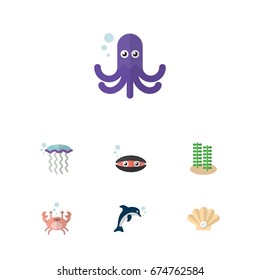 Flat Icon Marine Set Of Cancer, Playful Fish, Medusa And Other Vector Objects. Also Includes Dolphin, Conch, Scallop Elements.