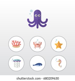 Flat Icon Marine Set Of Cancer, Tentacle, Sea Star And Other Vector Objects. Also Includes Jellyfish, Medusa, Tentacle Elements.