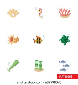 Flat Icon Marine Set Of Conch, Octopus, Seaweed And Other Vector Objects. Also Includes Algae, Alga, Scallop Elements.