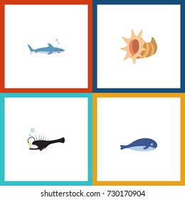 Flat Icon Marine Set Of Fish, Cachalot, Seashell And Other Vector Objects. Also Includes Fish, Whale, Angler Elements.