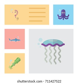 Flat Icon Marine Set Of Hippocampus, Octopus, Shark And Other Vector Objects. Also Includes Gray, Fish, Squid Elements.