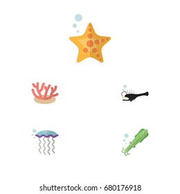 Flat Icon Marine Set Of Medusa, Fish, Octopus And Other Vector Objects. Also Includes Squid, Algae, Star Elements.