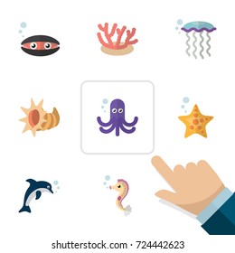 Flat Icon Marine Set Of Medusa, Tentacle, Playful Fish And Other Vector Objects. Also Includes Playful, Underwater, Cockleshell Elements.