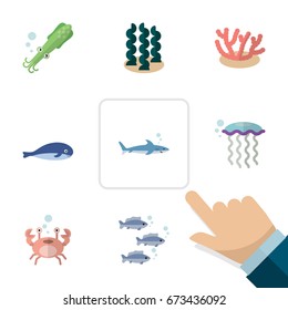 Flat Icon Marine Set Of Octopus, Medusa, Algae And Other Vector Objects. Also Includes Whale, Algae, Humpback Elements.