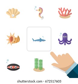 Flat Icon Marine Set Of Scallop, Shark, Tentacle And Other Vector Objects. Also Includes Tentacle, Gray, Octopus Elements.