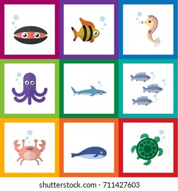 Flat Icon Marine Set Of Scallop, Cancer, Hippocampus And Other Vector Objects. Also Includes Seashell, Tentacle, Tuna Elements.