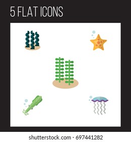 Flat Icon Marine Set Of Sea Star, Seaweed, Medusa And Other Vector Objects. Also Includes Starfish, Medusa, Octopus Elements.