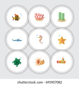 Flat Icon Marine Set Of Seashell, Periscope, Seafood And Other Vector Objects. Also Includes Tuna, Hippocampus, Alga Elements.