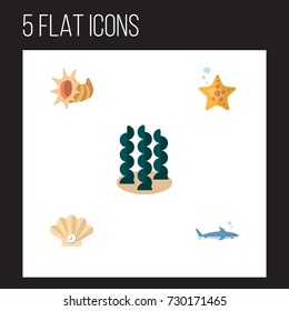 Flat Icon Marine Set Of Seashell, Shark, Conch And Other Vector Objects. Also Includes Shark, Conch, Seashell Elements.