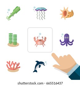 Flat Icon Marine Set Of Tentacle, Octopus, Seaweed And Other Vector Objects. Also Includes Octopus, Fish, Squid Elements.