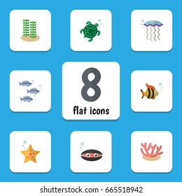Flat Icon Marine Set Of Tortoise, Algae, Medusa And Other Vector Objects. Also Includes Spirulina, Jellyfish, Starfish Elements.