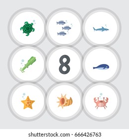 Flat Icon Marine Set Of Tortoise, Cancer, Tuna And Other Vector Objects. Also Includes Whale, Turtle, Octopus Elements.