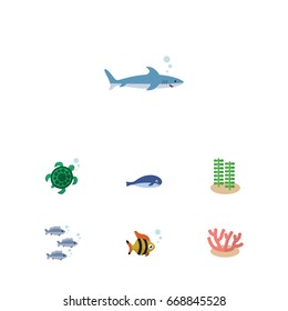 Flat Icon Marine Set Of Tortoise, Tuna, Seaweed And Other Vector Objects. Also Includes Turtle, Tuna, Humpback Elements.