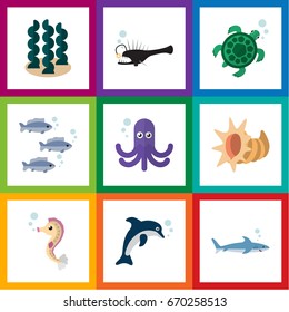 Flat Icon Marine Set Of Tortoise, Hippocampus, Shark And Other Vector Objects. Also Includes Cockleshell, Dolphin, Turtle Elements.