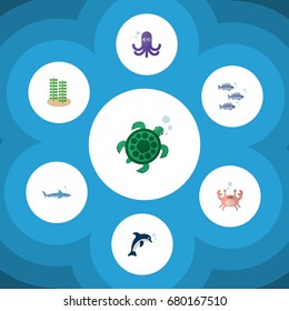 Flat Icon Marine Set Of Tortoise, Shark, Tuna And Other Vector Objects. Also Includes Crab, Tentacle, Seaweed Elements.