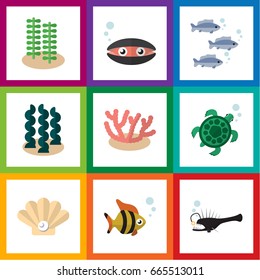 Flat Icon Marine Set Of Tuna, Seaweed, Tortoise And Other Vector Objects. Also Includes Algae, Seaweed, Turtle Elements.