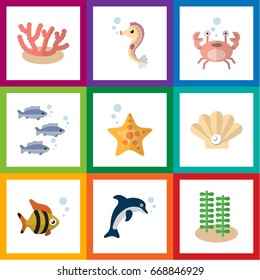 Flat Icon Marine Set Of Tuna, Sea Star, Cancer And Other Vector Objects. Also Includes Fish, Cancer, Seaweed Elements.