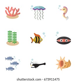 Flat Icon Marine Set Of Tuna, Algae, Fish And Other Vector Objects. Also Includes Cockleshell, Hippocampus, Algae Elements.