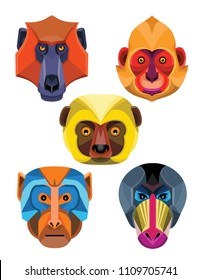 Flat icon mascot style illustration of heads of Old World monkeys like the baboon,  white-headed, golden-headed or Cat Ba langur,  diademed sifaka or  lemur , rhesus macaque and mandrill or drill .