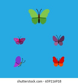 Flat Icon Monarch Set Of Archippus, Summer Insect, Monarch And Other Vector Objects. Also Includes Summer, Monarch, Moth Elements.