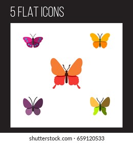 Flat Icon Monarch Set Of Archippus, Violet Wing, Butterfly And Other Vector Objects. Also Includes Monarch, Archippus, Moth Elements.