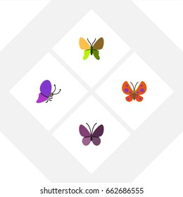 Flat Icon Monarch Set Of Beauty Fly, Summer Insect, Moth And Other Vector Objects. Also Includes Insect, Moth, Summer Elements.