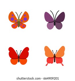 Flat Icon Monarch Set Of Danaus Plexippus, Monarch, Violet Wing And Other Vector Objects. Also Includes Moth, Milkweed, Summer Elements.