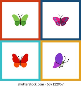 Flat Icon Monarch Set Of Summer Insect, Milkweed, Monarch And Other Vector Objects. Also Includes Monarch, Archippus, Butterfly Elements.