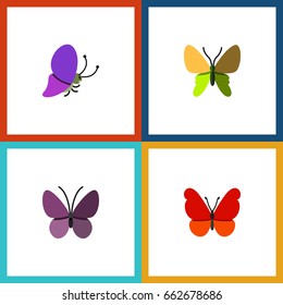 Flat Icon Monarch Set Of Summer Insect, Violet Wing, Monarch And Other Vector Objects. Also Includes Summer, Milkweed, Butterfly Elements.